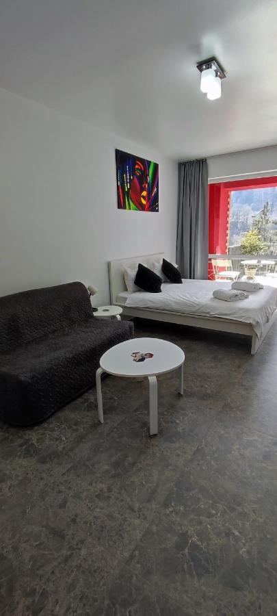 Belle View Sinaia-Free Parking 아파트 외부 사진