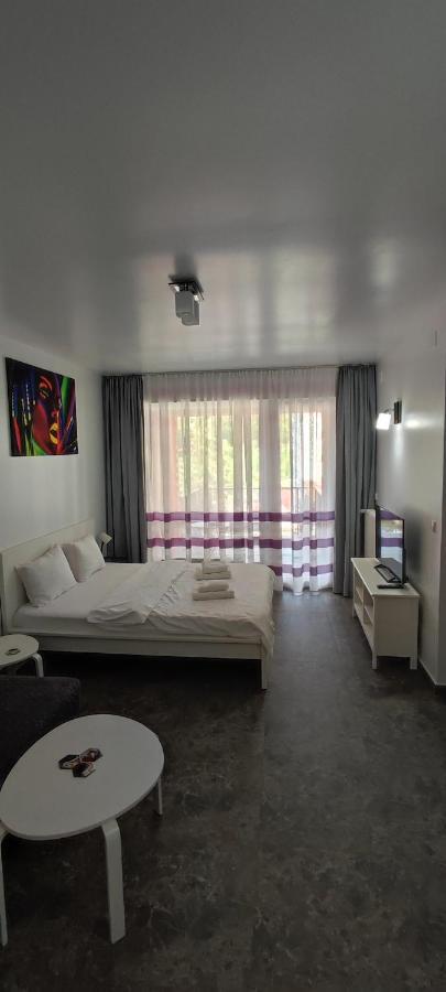 Belle View Sinaia-Free Parking 아파트 외부 사진